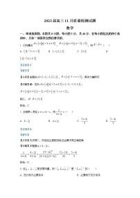 湖南省长沙市宁乡市第一高级中学2022-2023学年高三数学上学期11月质量检测试卷（Word版附解析）