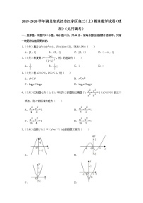 2019-2020学年湖北省武汉市江岸区高三（上）期末数学试卷（理科）（元月调考）