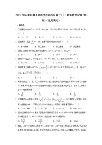 2019-2020学年湖北省武汉市武昌区高三（上）期末数学试卷（理科）（元月调考）