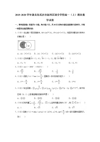 2019-2020学年湖北省武汉市新洲区部分学校高一（上）期末数学试卷