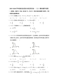 2019-2020学年湖北省武汉市武昌区高一（上）期末数学试卷