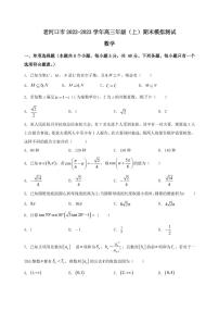 2022-2023学年湖北省襄阳市老河口市高三年级（上）数学期末模拟测试（PDF版）含答案