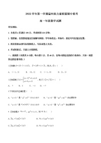 2022-2023学年浙江省温州新力量联盟高一上学期期中联考数学试题含答案