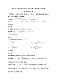 浙江省宁波市第四中学2022-2023学年高一数学上学期期中试题（Word版附解析）