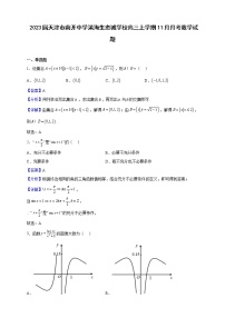 2023届天津市南开中学滨海生态城学校高三上学期11月月考数学试题含解析