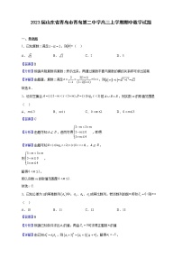 2023届山东省青岛市青岛第二中学高三上学期期中数学试题含解析