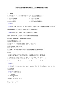 2023届上海市普陀区高三上学期期中数学试题含解析
