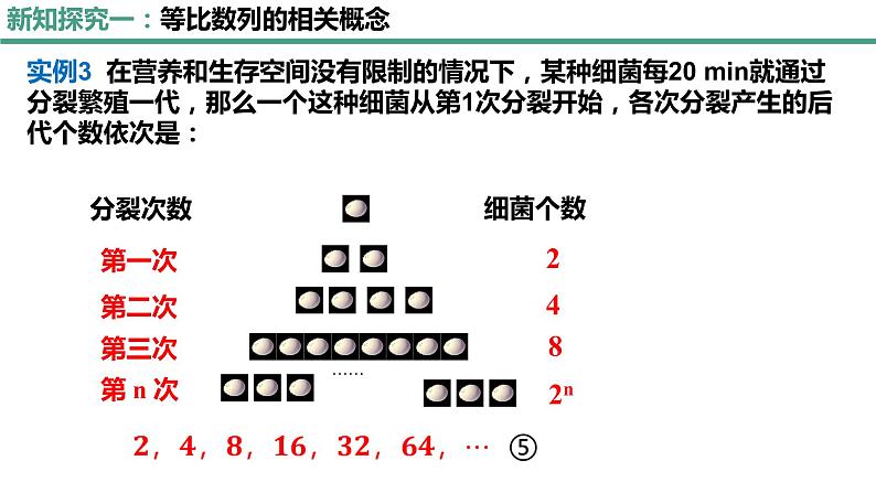 4.3.1等比数列的概念（第一课时）课件-2022-2023学年高二上学期数学人教A版（2019）选择性必修第二册第8页