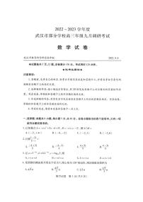 2022-2023武汉部分学校高三年级九调数学试卷
