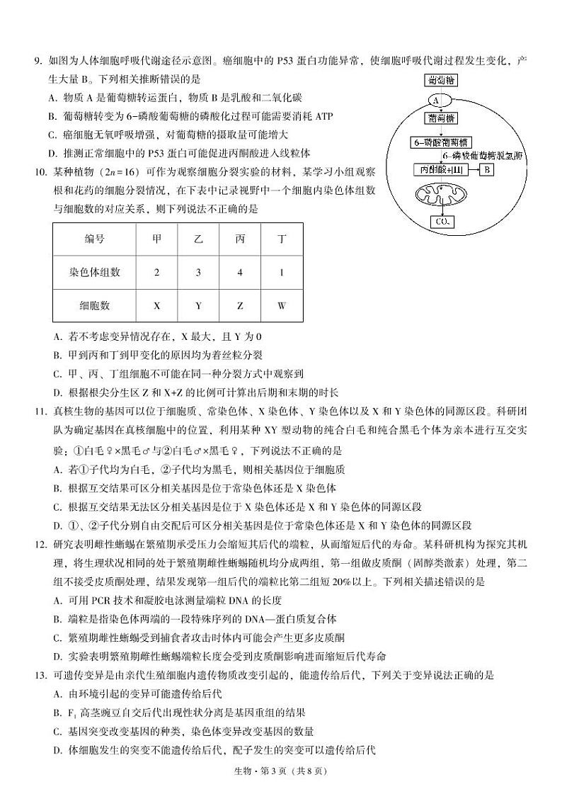 重一中11月生物-试卷第3页