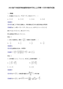 2023届广东省深圳市盐田高级中学高三上学期11月月考数学试题含解析