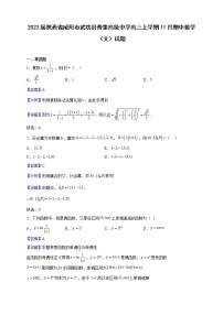 2023届陕西省咸阳市武功县普集高级中学高三上学期11月期中数学（文）试题含解析