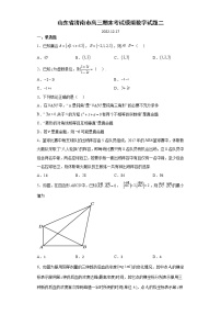 2022-2023学年山东省济南市高三上学期期末考试模拟试题（二）数学（word版）