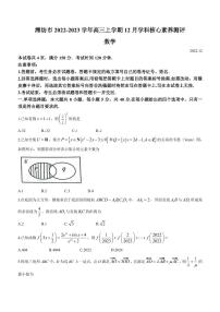 2022-2023学年山东省潍坊市高三上学期12月学科核心素养测评数学试题（PDF版）