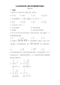 2022-2023学年山东省济南市高三上学期期末考试模拟试题（三）数学（PDF版）