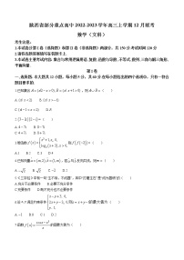 2022-2023学年陕西省部分重点高中高三上学期12月联考文科数学试题（word版）