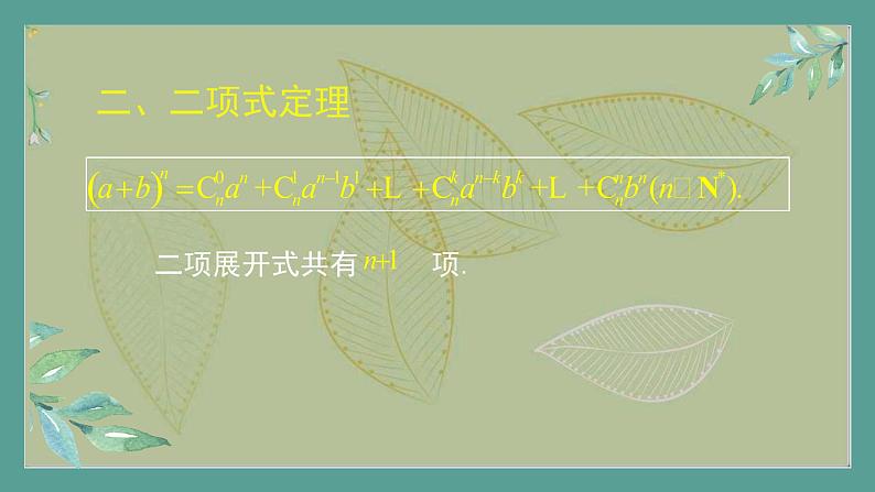 高中数学选择性必修3 精品同步课件  10  二项式定理08