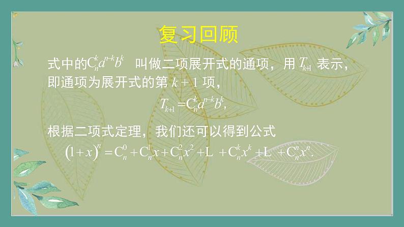 高中数学选择性必修3 精品同步课件  12  二项式定理的习题课04