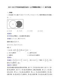 2021-2022学年湖北省武汉市高一上学期期末模拟（一）数学试题（解析版）