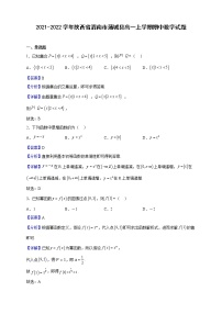 2021-2022学年陕西省渭南市蒲城县高一上学期期中数学试题（解析版）