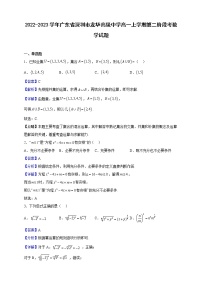 2022-2023学年广东省深圳市龙华高级中学高一上学期第二阶段考数学试题（解析版）