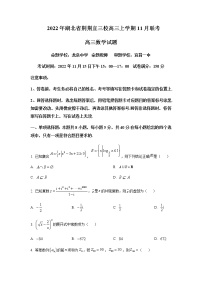 2022-2023学年湖北省荆荆宜三校高三上学期11月联考数学试题含答案