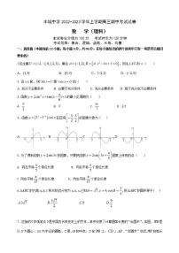 2023届江西省丰城中学高三上学期期中考试数学（理）试题含答案