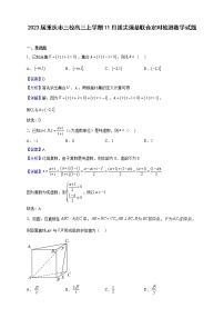 2023届重庆市三校高三上学期11月拔尖强基联合定时检测数学试题（解析版）