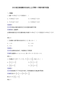 2023届云南省部分名校高三上学期11月联考数学试题（解析版）