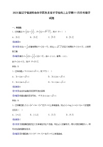 2023届辽宁省沈阳市和平区东北育才学校高三上学期11月月考数学试题（解析版）