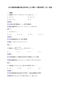 2023届陕西省部分重点高中高三上学期11月联考数学（文）试题（解析版）