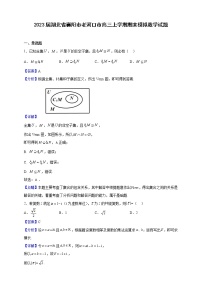 2023届湖北省襄阳市老河口市高三上学期期末模拟数学试题（解析版）