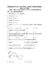 2023届陕西省咸阳市武功县普集镇高级中学高三上学期1月份强化训练测试数学（文）试题（含解析）