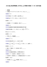 2023届上海市曹杨第二中学高三上学期高考模拟（11月）数学试题（解析版）