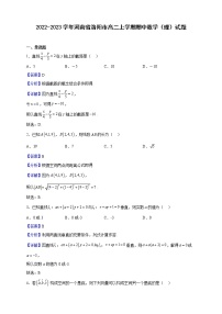 2022-2023学年河南省洛阳市高二上学期期中数学（理）试题（解析版）
