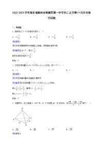 2022-2023学年湖北省随州市曾都区第一中学高二上学期11月月考数学试题（解析版）
