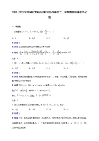 2022-2023学年湖北省新高考联考协作体高二上学期期末模拟数学试题（解析版）