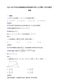 2022-2023学年江苏省南京市天印高级中学高二上学期11月月考数学试题（解析版）