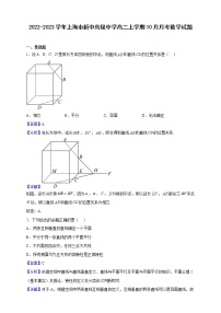 2022-2023学年上海市新中高级中学高二上学期10月月考数学试题（解析版）