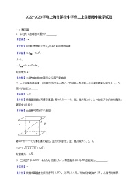 2022-2023学年上海市洋泾中学高二上学期期中数学试题（解析版）