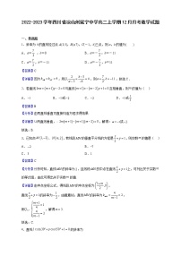2022-2023学年四川省凉山州冕宁中学高二上学期12月月考数学试题（解析版）