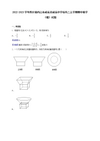 2022-2023学年四川省内江市威远县威远中学校高二上学期期中数学（理）试题（解析版）