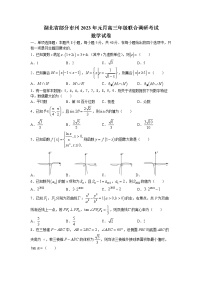 湖北省部分市州2022-2023学年高三数学上学期元月联合调研考试试题（Word版附答案）