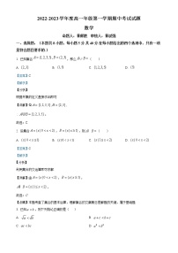 2022-2023学年广东省江门市高一上学期期中数学试题（解析版）