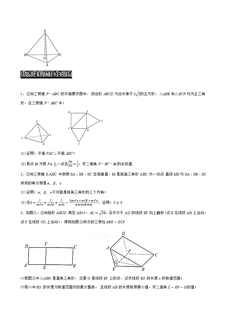 专题20立体几何与空间向量C辑（学生版）-备战2021年高中数学联赛之历年真题汇编（1981-2020）第3页