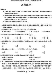 2022-2023天一大联考高三文数期末试题及解析