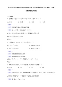 2021-2022学年辽宁省沈阳市东北育才学高中部高一上学期第二次阶段检测数学试题（解析版）