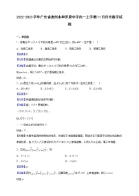 2022-2023学年广东省惠州市华罗庚中学高一上学期11月月考数学试题（解析版）
