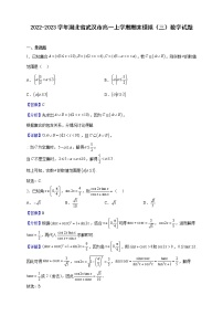 2022-2023学年湖北省武汉市高一上学期期末模拟（三）数学试题（解析版）