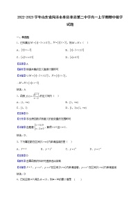 2022-2023学年山东省菏泽市单县第二中学高一上学期期中数学试题（解析版）